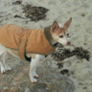 Meet your Posher, Marian